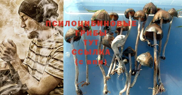 метадон Магас