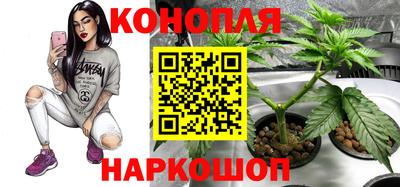 spice Берёзовский