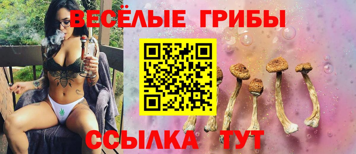 Галлюциногенные грибы Magic Shrooms  Псилоцибиновые грибы Cubensis  Петропавловск-Камчатский  Вход с VPN 